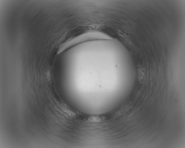 X0000051260613200507082219