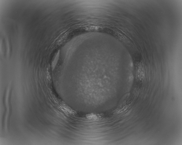X0000051260616200507082219
