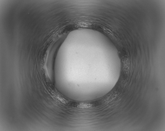 X0000051260617200507082219