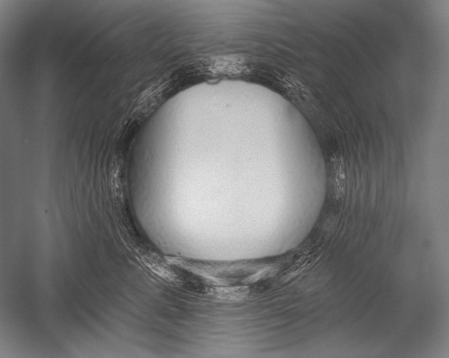 X0000051260619200507082219