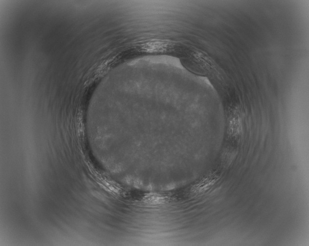 X0000051260620200507082218