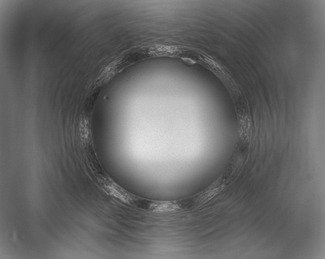 X0000051260621200507082218