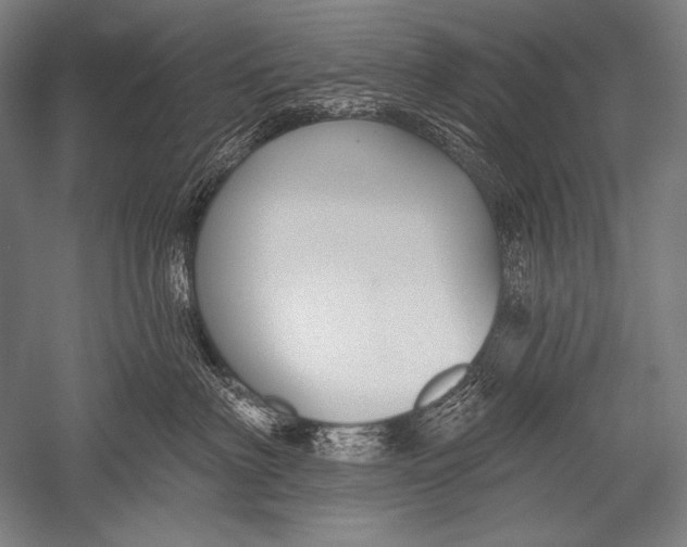 X0000051260622200507082218