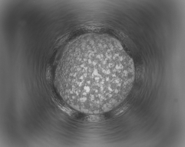 X0000051260623200507082218