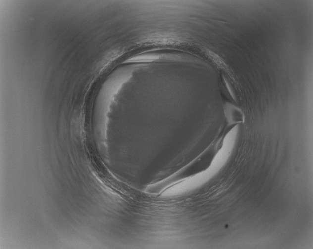 X0000051260627200507082218