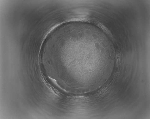 X0000051260628200507082218