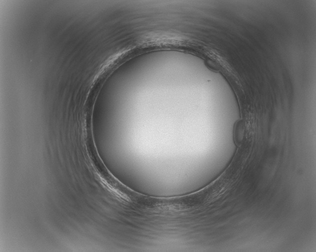 X0000051260629200507082218