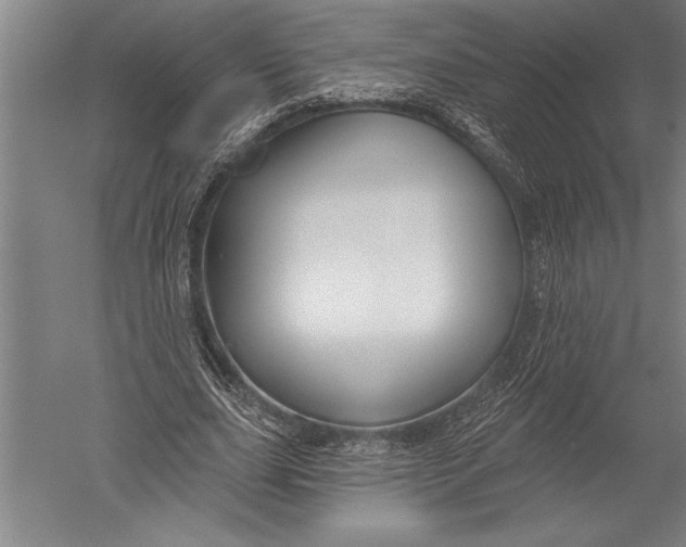 X0000051260631200507082218
