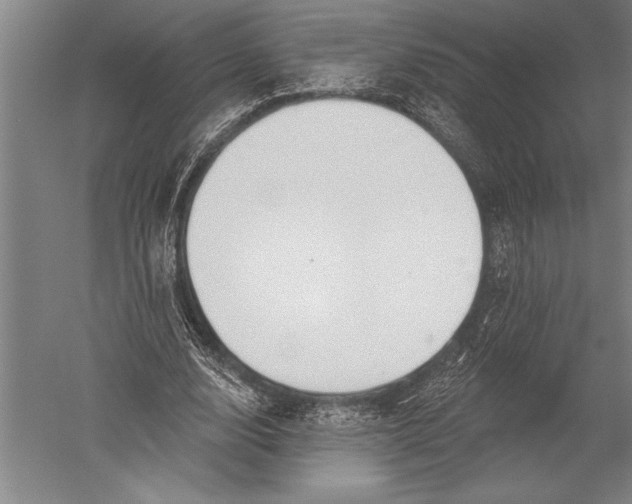 X0000051260632200507082218