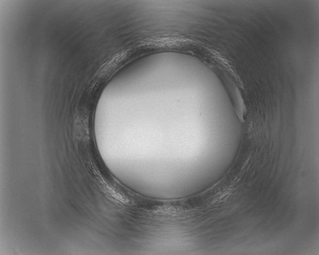 X0000051260633200507082218