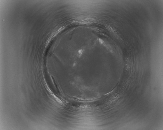 X0000051260634200507082218