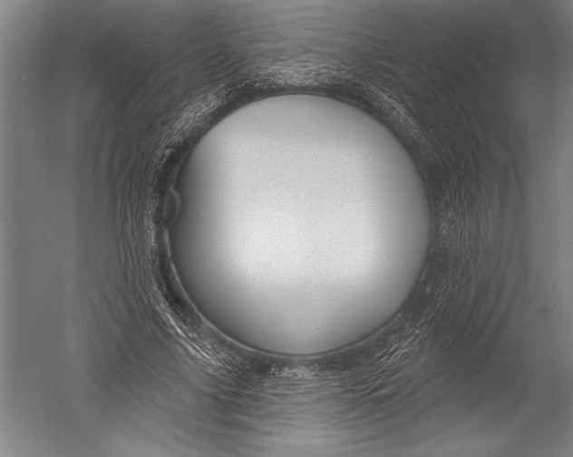 X0000051260635200507082218