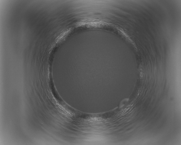 X0000051260637200507082218