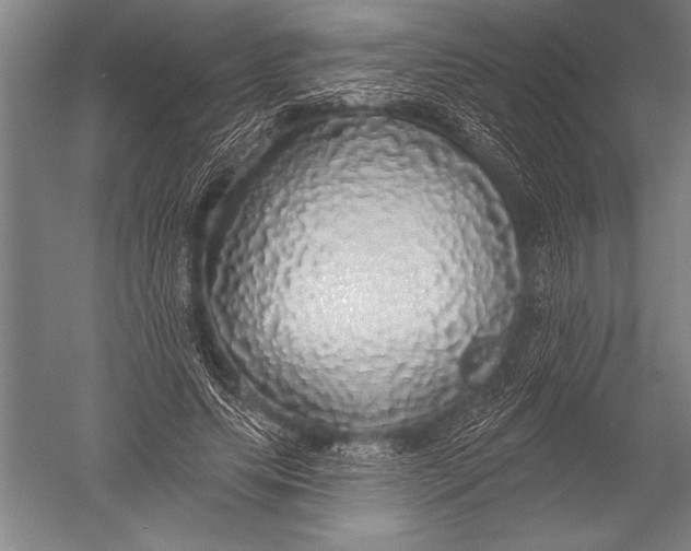 X0000051260639200507082218