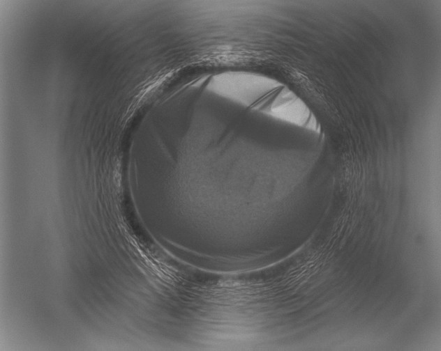 X0000051260640200507082218