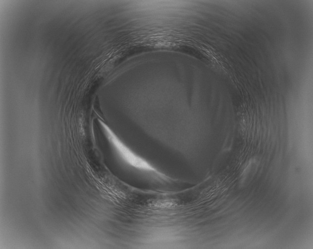 X0000051260643200507082218