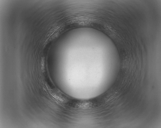 X0000051260646200507082218