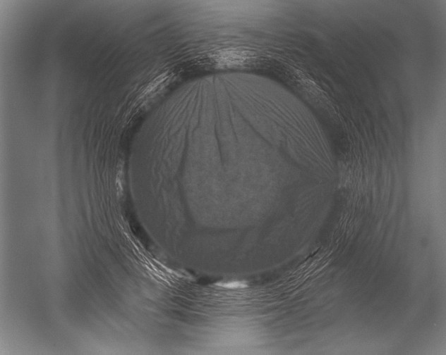 X0000051260648200507082218