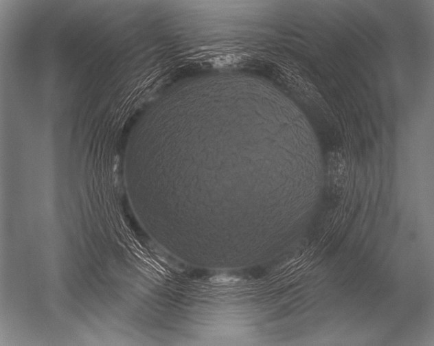 X0000051260650200507082218