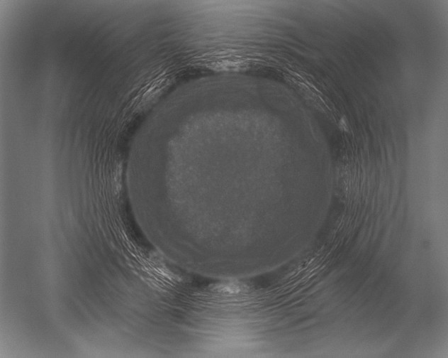 X0000051260652200507082218