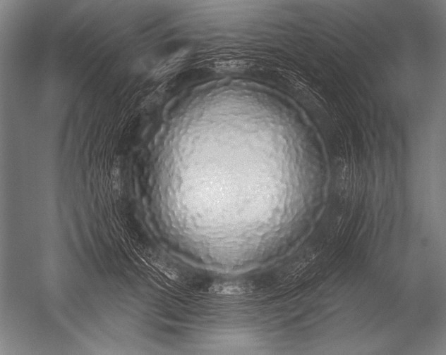 X0000051260655200507082218