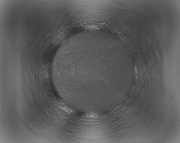X0000051260658200507082218