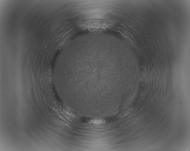 X0000051260659200507082218