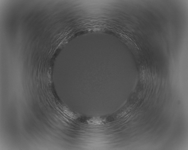 X0000051260661200507082218