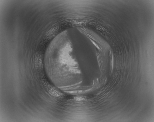 X0000051260662200507082218