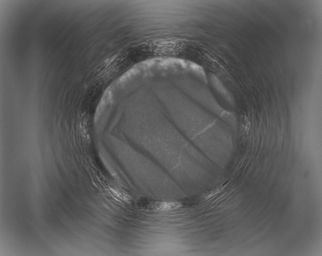 X0000051260663200507082218