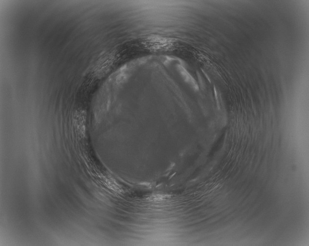 X0000051260664200507082218