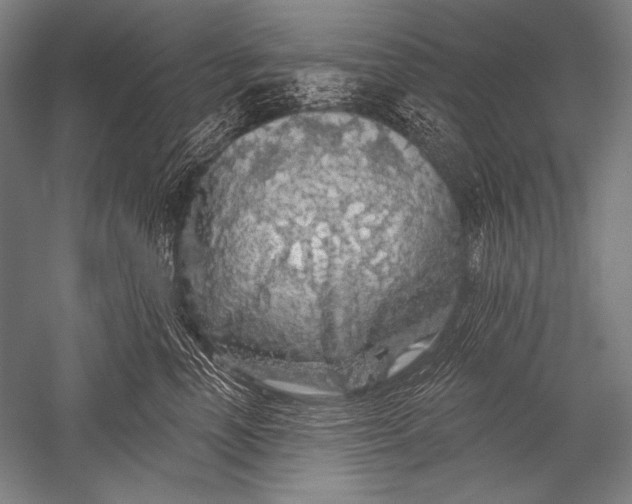 X0000051260666200507082218