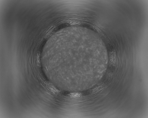 X0000051260667200507082218