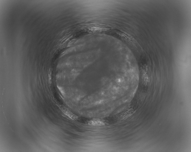 X0000051260668200507082218