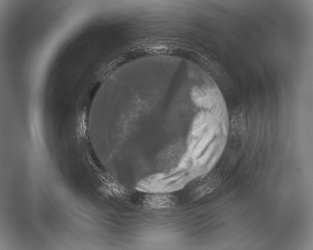 X0000051260671200507082218