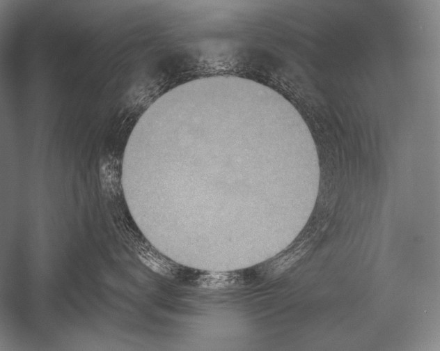 X0000051260672200507082218