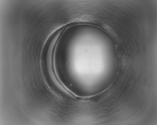 X0000051260680200507082217