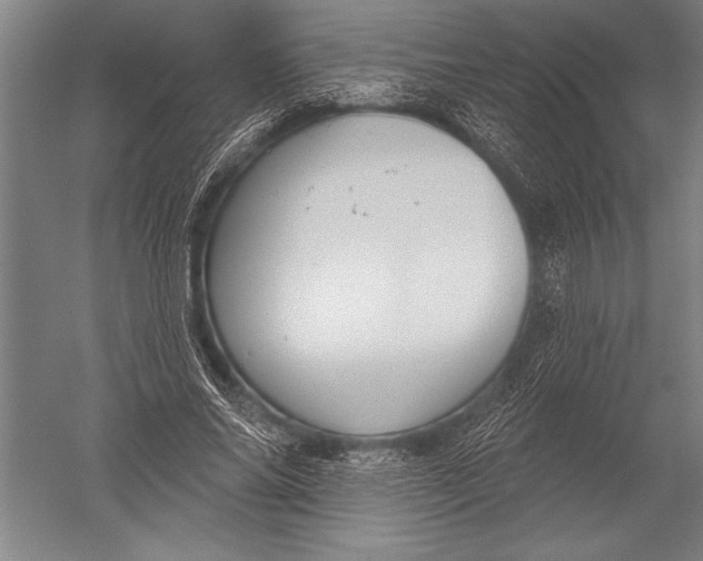 X0000051260686200507082217