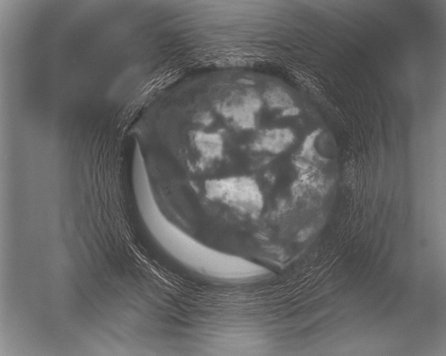 X0000051260687200507082217