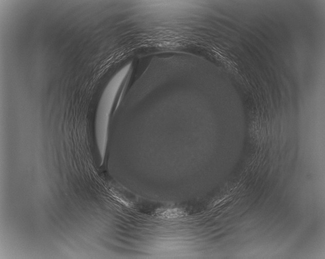 X0000051260689200507082217