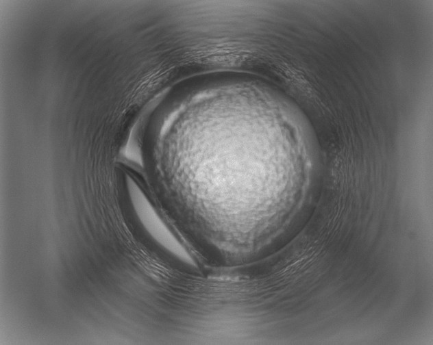 X0000051260693200507082217