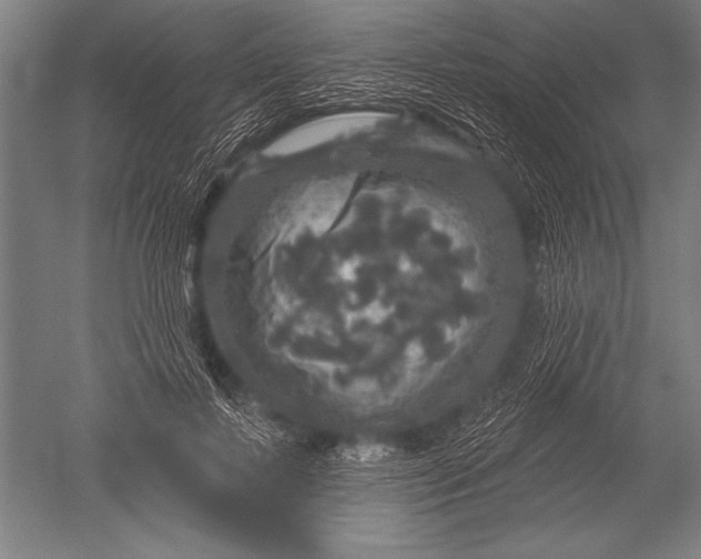 X0000051260695200507082217