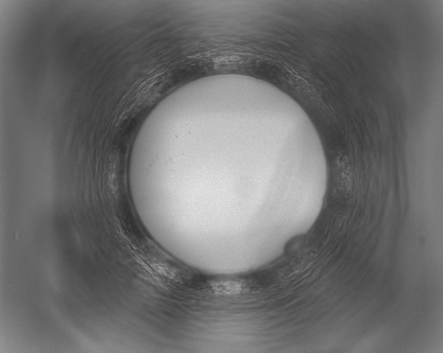 X0000051260698200507082217