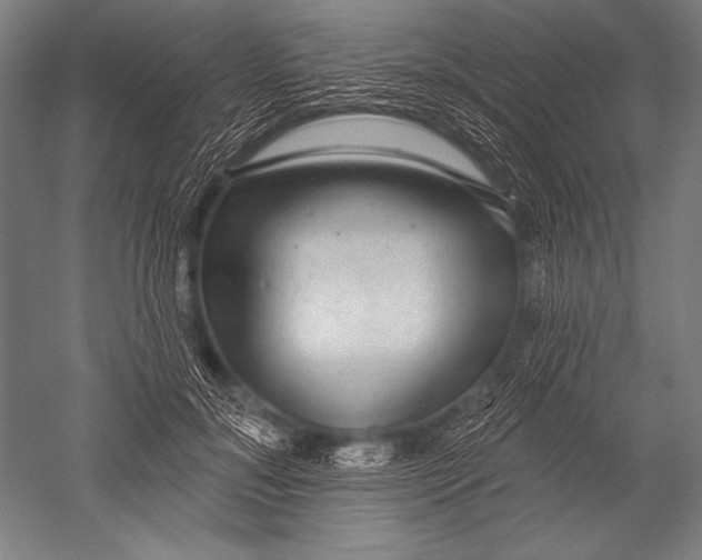 X0000051260700200507082217