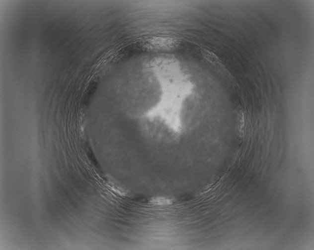 X0000051260701200507082217