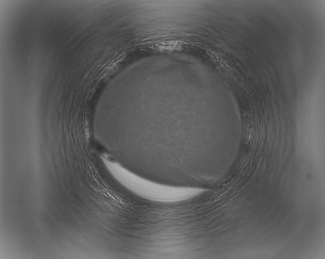 X0000051260704200507082217