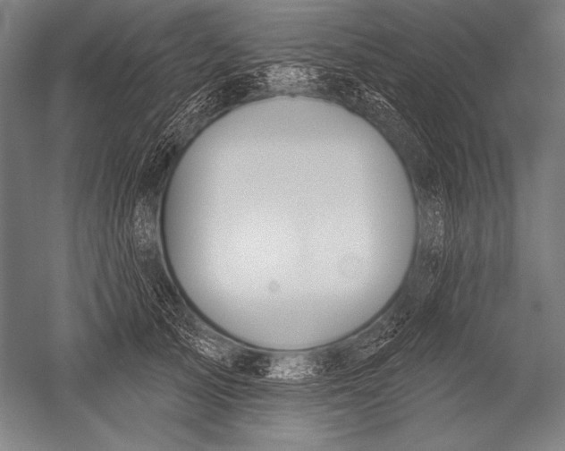 X0000051260705200507082217