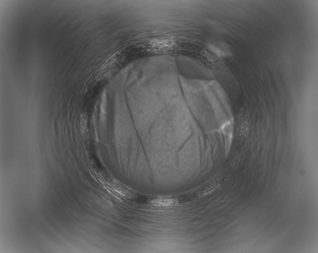 X0000051260711200507082217