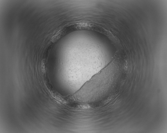 X0000051260715200507082217