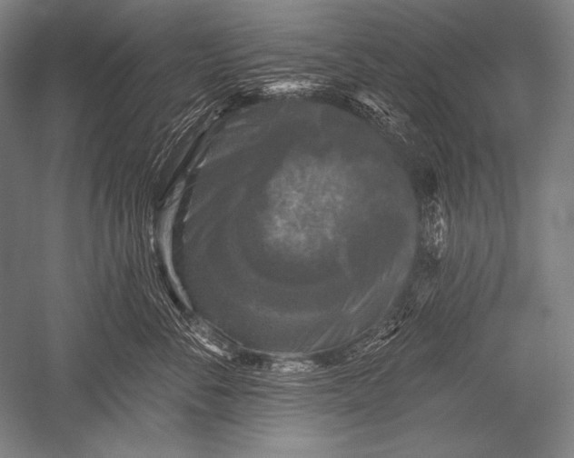 X0000051260716200507082217